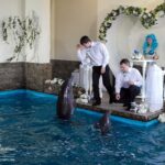 (Русский) В Ялте состоялась первая в Украине свадьба дельфинов