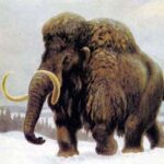(Русский) Крымской детворе покажут мамонта, кита и древнюю лошадь