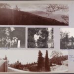 Фотографии из семейных альбомов Романовых. Часть 10