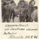 Немецкие пехотинцы со “степными” верблюдами