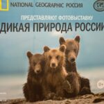 В Севастополе открылась выставка «National Geographic»