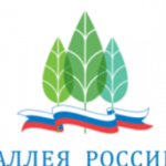 Выборы зеленых символов регионов РФ продлили до 31 октября