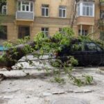 (Русский) Алушту очистят от разросшихся деревьев