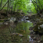 Для водоснабжения Севастополя возьмут воду реки Коккозки