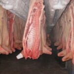(Русский) В Джанкое задержали перевозившиеся под видом сельди 22 тонны свинины