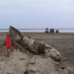 С начала года в Крыму саперы МЧС уничтожили 1,5 тыс. боеприпасов