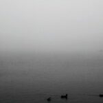 Керченская переправа временно закрыта из-за тумана