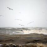 На переправе в Керчи объявили штормовое предупреждение