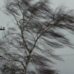 В выходные в Крыму прогнозируют шквальный ветер